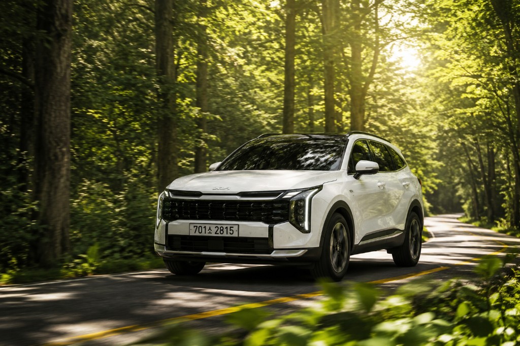 숲길을 달리는 흰색 SUV